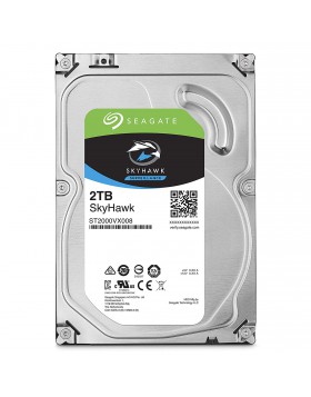 Hard Disk Seagate Skyhawk Porta Usb 2TB 3.5 2000Gb Adattatore Interno Memoria